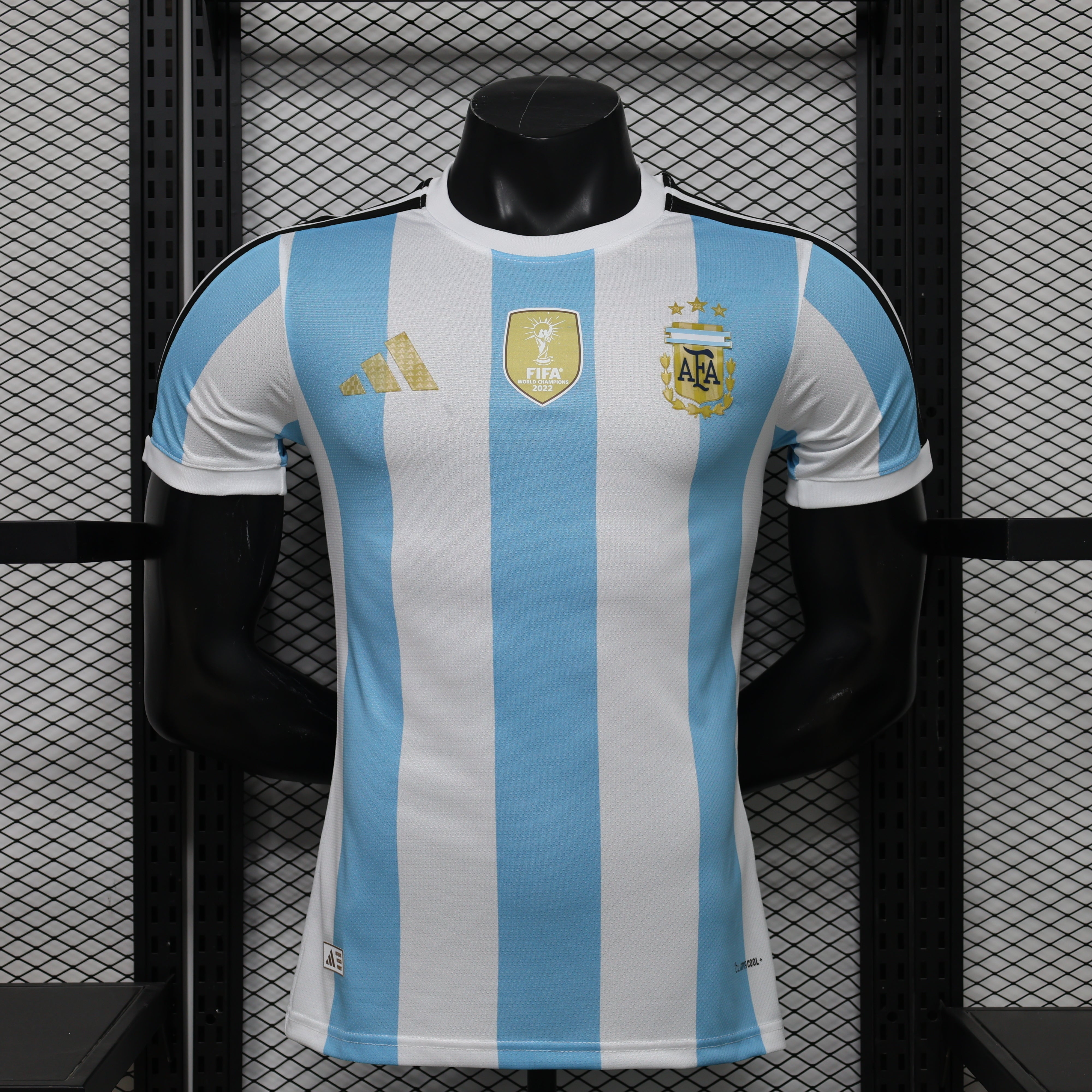 Maillot Argentine concept 2026